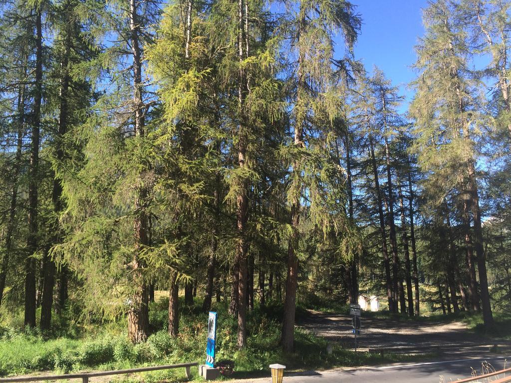 Chesa Muragls Pontresina Luaran gambar